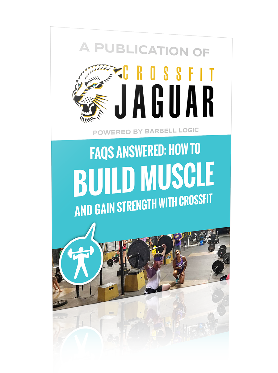 gain muscle ebook